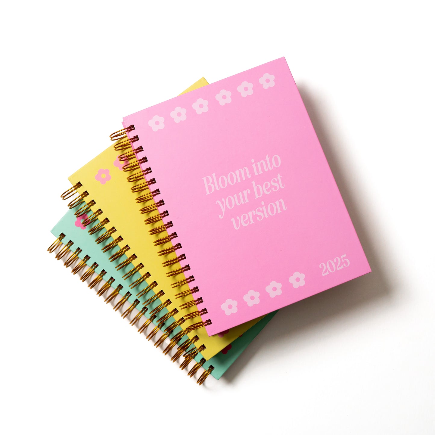 BLUSH 2025 PLANNER