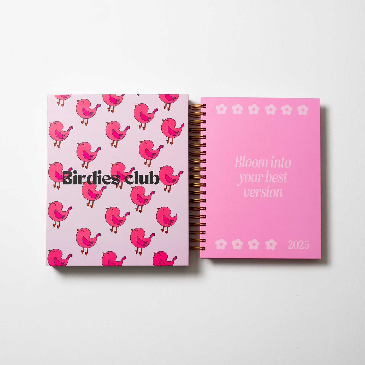 BLUSH 2025 PLANNER